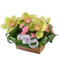 Букет-корзина из зеленой орхидеи (5 цветков) и розовой кустовой розы (5 веток) с доставкой.
