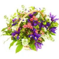 Букет-композиция из синих ирисов, розовых кустовых роз, буплерум, салала и белой фрезии №72