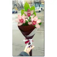 Оригинальный букет на удлиненной ручке из превосходной орхидеи, гипсофилы и рускуса с доставкой по Киеву. 