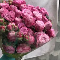 Кустовые розы "Леди Бомбастик" с доставкой по Киеву. 