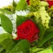 Букет цветов из красных роз, белой кустовой хризантемы, солидаго, салала и статицы №37 с доставкой.