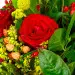 Букет цветов из красных роз, желтой краспедии, солидаго, салала и красного гиперикума №40 с доставкой.