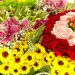 Букет-мишка из разноцветной хризантемы, разноцветных роз, разноцветной орхидеи и гиперикума №29