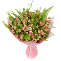 Букет цветов из розовых кустовых роз (35 шт.) и амбрелл №62 с доставкой.