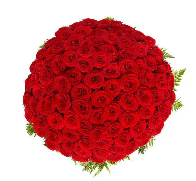 Букет-корзина из красных роз №19 (101 шт.)