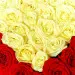 Букет-сердце из красных и белых роз №9 (51 шт.)