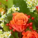 Букет цветов из рыжих роз, ромашек, красного гиперикума, салала и рыжих тюльпанов №45 с доставкой.