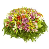 Букет-корзина из разноцветных тюльпанов (501 шт.) №60